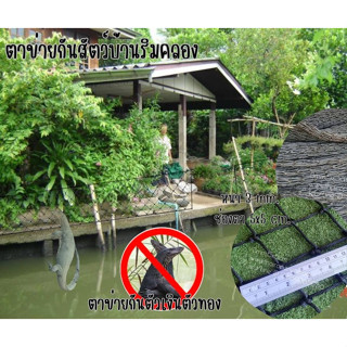 ตาข่ายกันสัตว์บ้านริมคลอง ตาข่ายกันตัวเงินตัวทอง ตาข่ายกั้นบริเวณ ตาข่ายกั้นบริเวณบ้านริมคลอง ตาข่ายกันของตกกันของหล่น