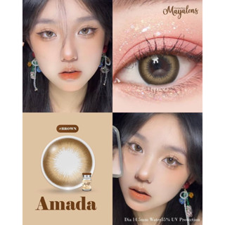 Amada brown คอนแทคเลนส์ (Mayalens ค่าอมน้ำ 55%)