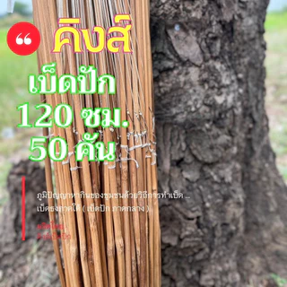 เบ็ดปักคันนา 120 ซม. 50 คัน เบ็ดไม้ไผ่ เบ็ดธงเบ็ดปัก เบ็ดปักคันโค้ง (เบ็ด120ซม50คัน)