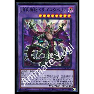 SR 019 [Yu-Gi-Oh! การ์ดยูกิแท้ yugi ]   " RC04-JP028 : Predaplant Dragostapelia " (SR)