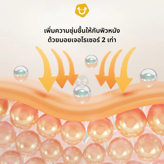 MONZE แชมพูอาบน้ำ สำหรับแมวพันธุ์สฟิงซ์ SPHYNK ควบคุมความมัน น้ำยาอาบน้ำ