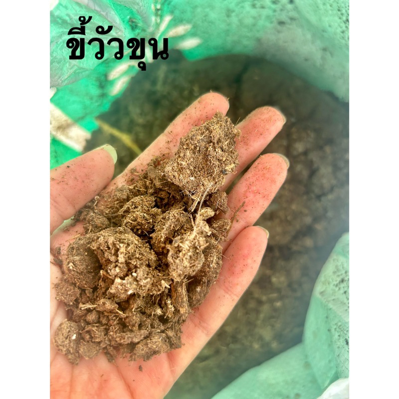 💩ปุ๋ยคอกขี้วัวขุนOtopสุพรรณบุรีไม่มีหญ้าหรือโซดาไฟขี้ล้วนๆล้าน%1kg