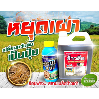 สารสลายฟาง+ข้าวดีด (ขนาด1ลิตร+4ลิตร) 5ไร่ 💢ย่อยสลายฟางข้าว💢✅💯ใช้ดีมากมีของแถมฟรี