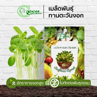 เมล็ดพันธุ์ทานตะวันงอก (Sunflower Sprout) Green Garden