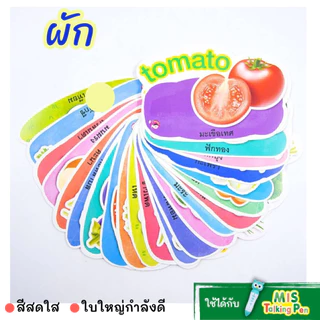 #แฟลชการ์ดมาใหม่สดใสกว่าเดิม ✔️Flash Card สนุก กระตุ้นสมอง ใช้กับ Talking Pen ได้ ก-ฮ A-Z กไก่ abc