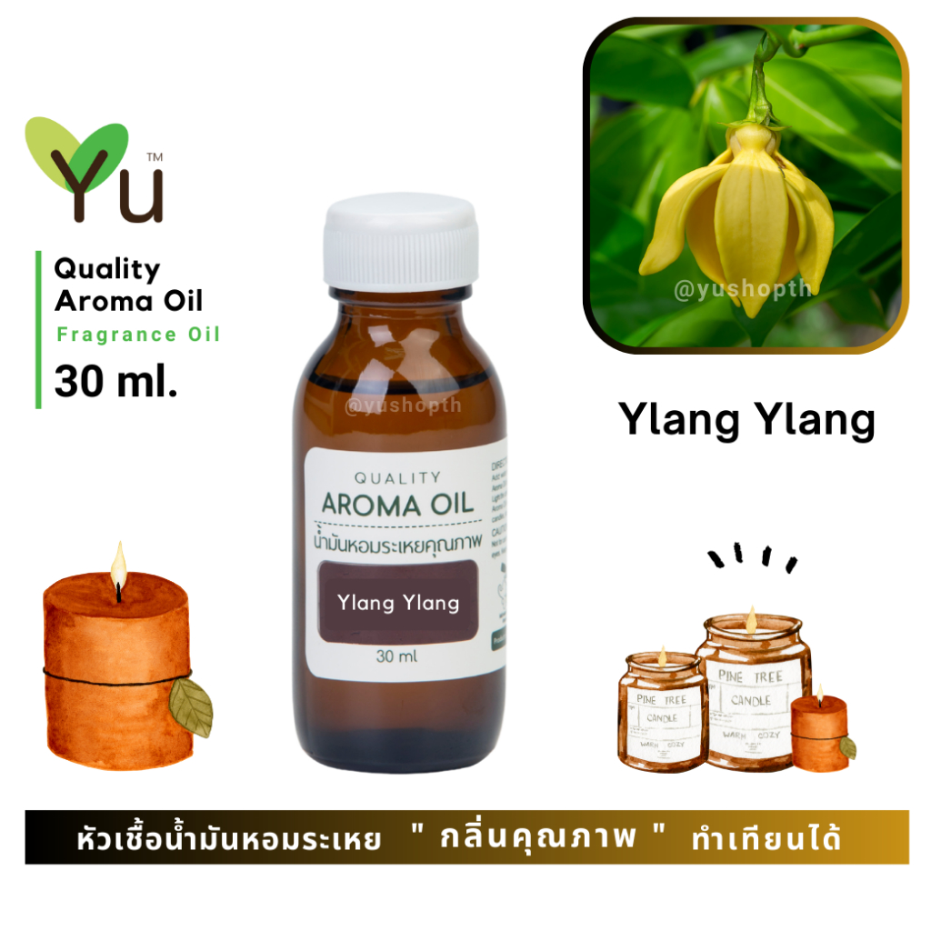   30-60 ml.  กลิ่น Ylang Ylang กลิ่นกระดังงา   หัวเชื้อ น้ำมันหอมระเหย กลิ่นคุณภาพ | Quality Aroma Oil