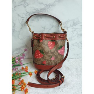 Mini Dempsey Bucket Bag in Signature Canvas with Wild Strawberry Print Coach CH164