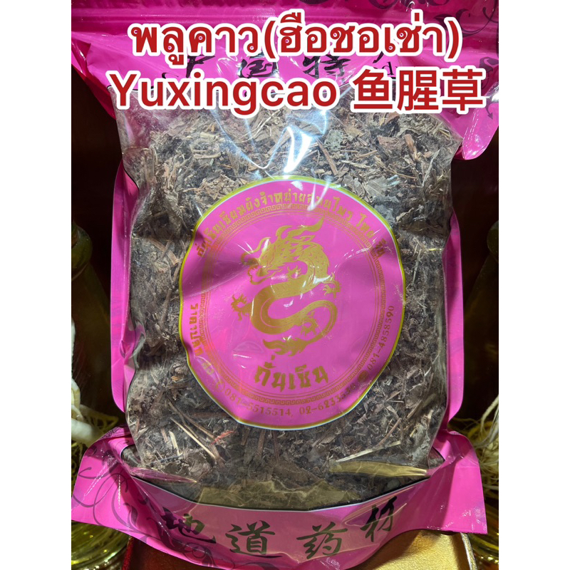พลูคาว(ฮือชอเช่า) Yuxingcao 鱼腥草 พลูคาว พลูคาวแห้ง ผักคาวทอง คาวตอง ผักคาวตองหื่อเซ็งเช่า ฮือชอเช่า ฮือแชเช่า