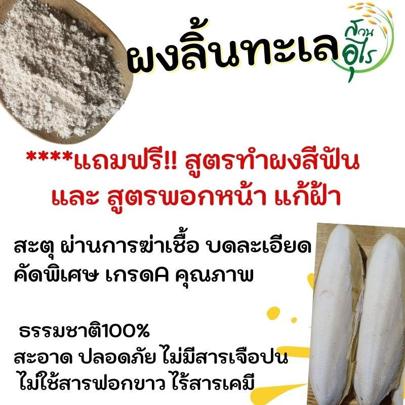 ผงลิ้นทะเล สะตุ500g ฆ่าเชื้อ ธรรมชาติ100% คุณภาพ บดละเอียด ปลอดภัย ไร้สารเคมี ผงกระดองปลาหมึก ลิ้นทะเล กระดองหมึก แก้ฝ้า ราคา ถูกที่สุด ดีลบีเคเค แกลเลอรีภาพที่ 2