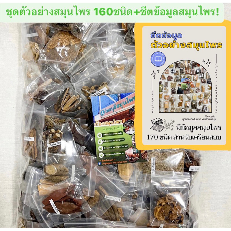 ตัวอย่างสมุนไพร 160ชนิดพร้อมชีตขอมูลสมุนไพร(เน้นสมุนไพรที่นิยมใช้มาก)