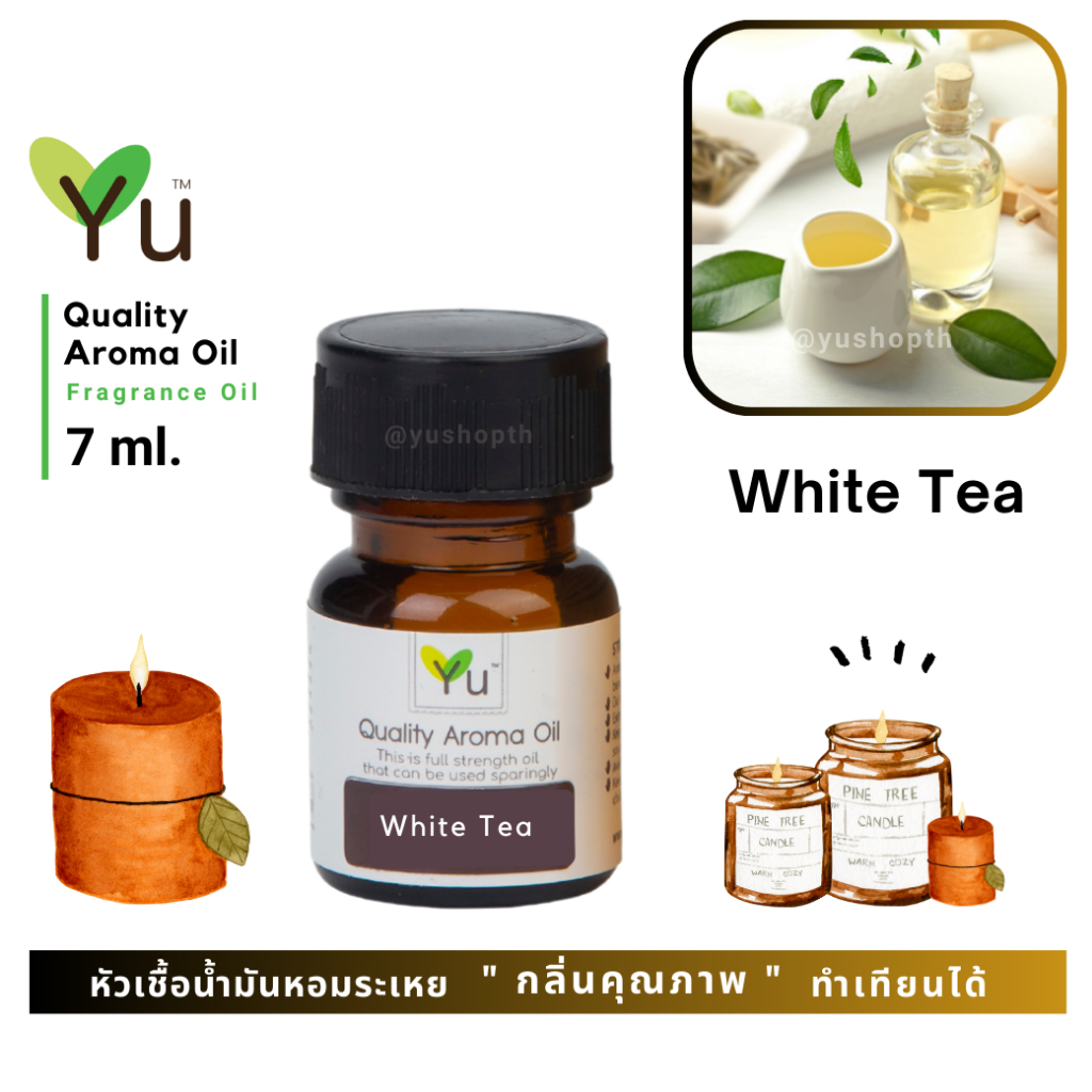   7 ml. กลิ่น White Tea (ชาขาว)  หัวเชื้อน้ำมันหอมระเหย กลิ่นคุณภาพ | Quality Aroma Oil   เลือกกล่องได้ !