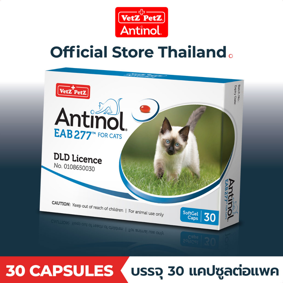 [Official Store] แอนทินอล Antinol® EAB 277™for cat 30 แคปซูล