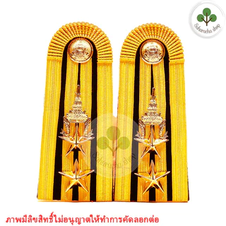 อินทรธนู ทบ ยศ อินทนู มีทุกยศ (พร้อมเครื่องหมายตามรูปเลยครับ) บ่าชุดขาว ดิ้นอินเดีย