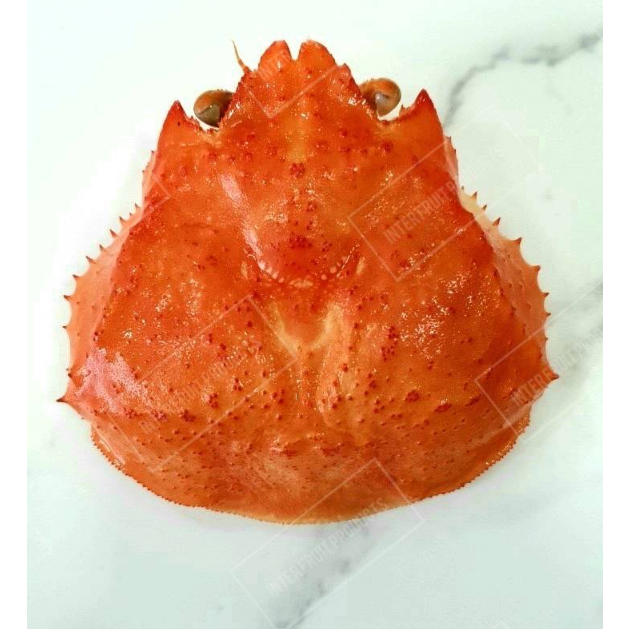 กระดองปูหิมะต้ม สำหรับใส่คานิมิโสะแล้วนำไปย่าง  ZUWAI KANI SHEEL SIZE  8-9 เซ็นติเมตร จำนวน 100 ชิ้น