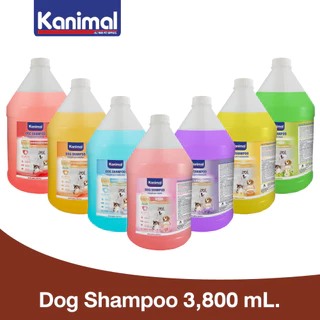 ( 7สูตร ) Kanimal Dog Shampoo 3,800 ml. แชมพูสุนัข ช่วยบำรุงขน ลดขนร่วง สำหรับสุนัขทุกสายพันธุ์ (3,800 มล./ขวด)