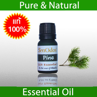 SenOdos น้ำมันหอมระเหยแท้ 100% กลิ่นสน Pine 100% Pure Essential Oil 10 ml.