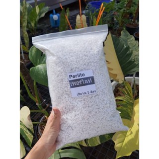 Perlite(เพอร์ไลท์ ) 5 ลิตร