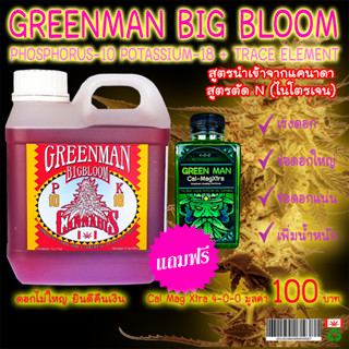 ปุ๋ยเร่งดอก Big Bloom P-10 K-18 +TE Greenman สูตรนำเข้าจากแค…