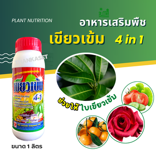 เขียวเข้ม ช่วยให้ใบเขียว หนา 4in1 แมกนีเซียม สังกะสี สาหร่าย อะมิโน อาหารเสริมพืช ขนาด 1 ลิตร