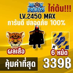 ไก่ตัน 6 หมัด พร้อมผลเสือและสุ่มดาบแรร์! BLOX FRUITS LEVEL 2450 (MAXED) ปลอดภัย ใช้มือฟาร์ม ไม่มีการใช้แฮ็ค แมพ Roblox