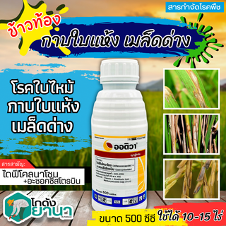 🌾 ออติวา (อะซอกซีสโตรบิน+ไดฟีโนโคนาโซล) ขนาด 500ซีซี ป้องกันกำจัดโรคพืชต่างๆ เช่นโรคใบจุด