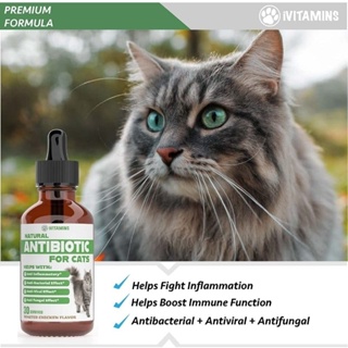 Natural Cat Anti-biotic เสริมภูมิแมว แมวป่วย  ฟื้นฟูร่างกายแมว สกัดจากสมุนไพร ธรรมชาติ