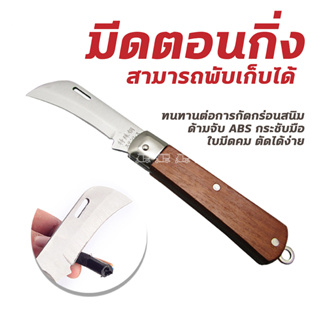 มีดตอนกิ่งไม้ 🔪 มีดตอนกิ่ง ใบมีดสแตนเลส ด้ามจับแบบไม้ ใบมีด มีดตอน มีดอเนกประสงค์ ยาว 8.5 ซม.