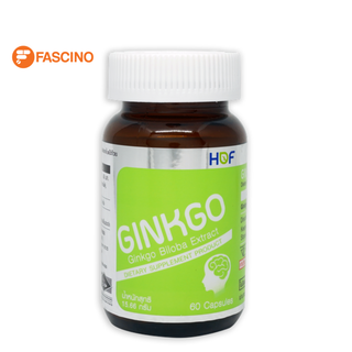 HOF Ginkgo Biloba Extract ฮอฟ สารสกัดจากใบแป๊ะก๊วย 60 มก. บรรจุ 60 แคปซูล