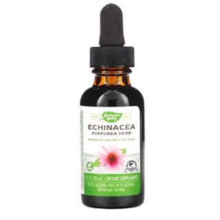 Natures Way Echinacea อาหารเสริมภูมิต้านทาน สกัดจากสมุนไพรธรรมชาติ (ชนิดน้ำ30 ml)