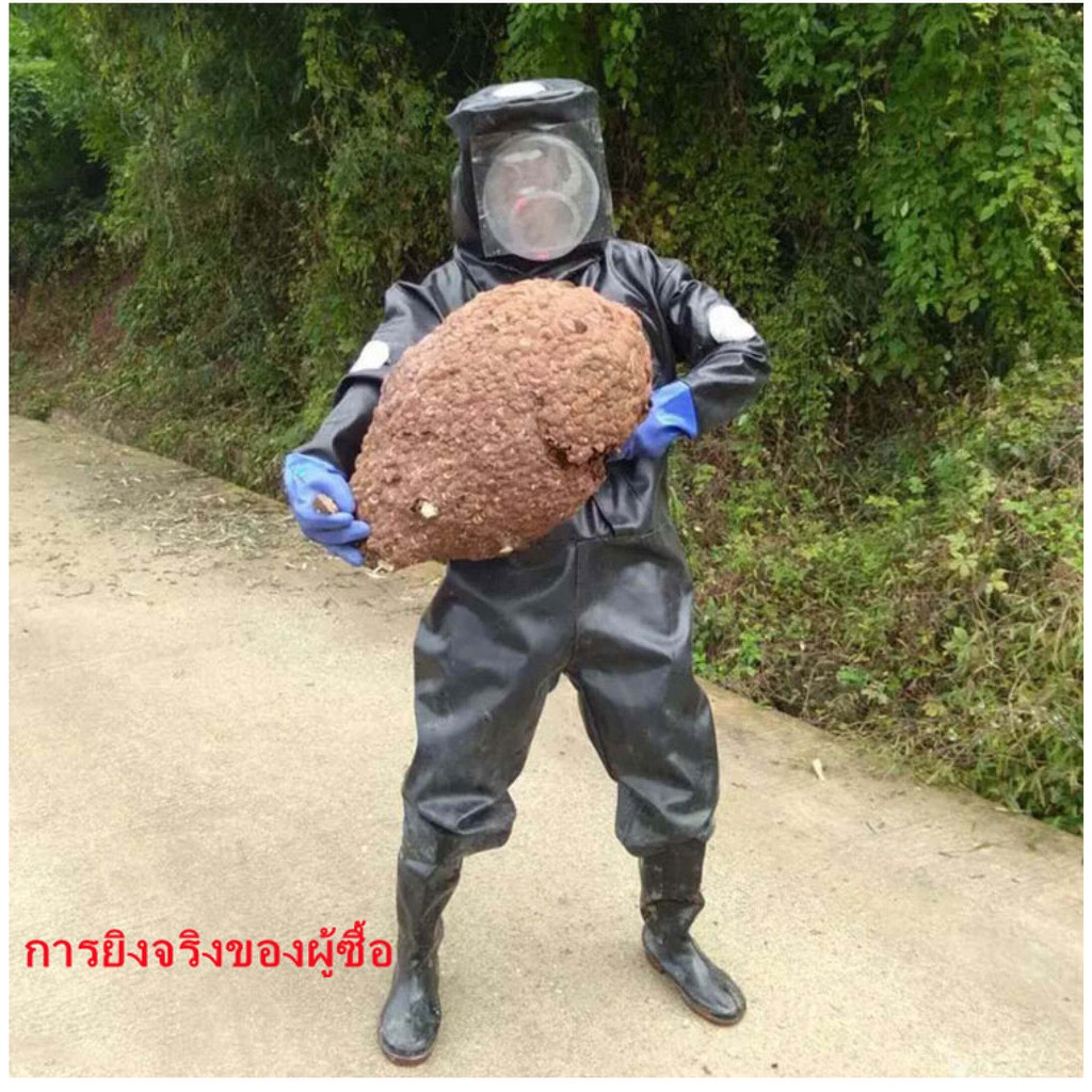 พร้อมพัดลม ชุดเอาต่อผึ้ง ชุดป้องกันผึ้ง ป้องกันแมลง อุปกรณ์เลี้ยงผึ้ง ชุดป้องกันผึ้งต่อย ผึ้งป้องกัน - รูปที่ 4