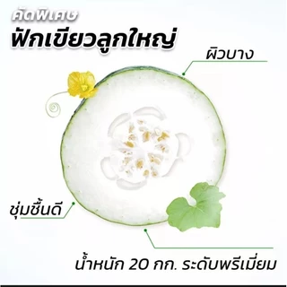 น้ำฟัก หวังเหล่าจี(ขายยกลัง24กระป๋อง) 冬瓜茶 王老吉一箱24罐