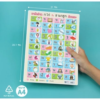 โปสเตอร์พลาสติก PP ก-ฮ, กไก่ ขนาด A4 OST รหัส EA-338,EA-340,EA-355,EA-417,EA-418,EA-420,EA388.