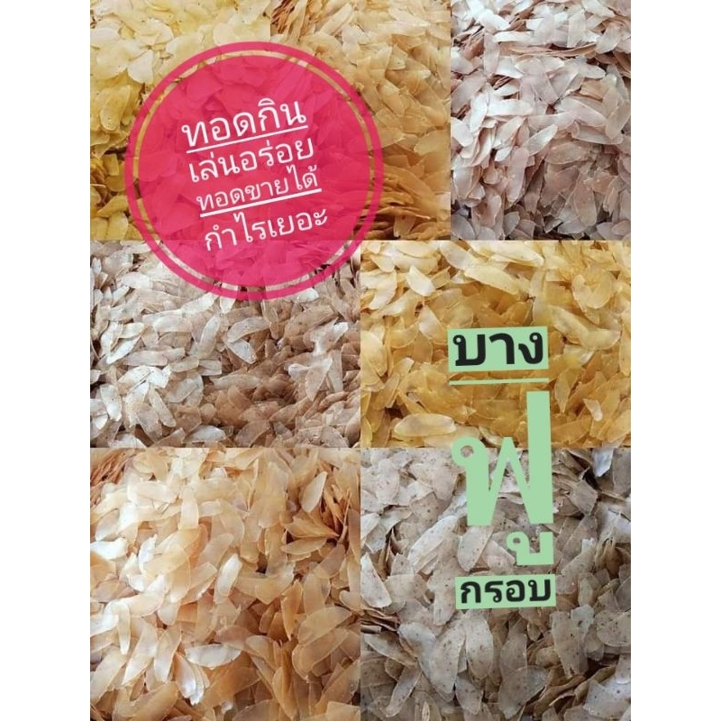 เจ ข้าวเกรียบเจ ข้าวเกรียบ ข้าวเกรียบแผ่นดิบ ข้าวเกรียบเห็ดหอม  ข้าวเกรียบมันม่วง ข้าวเกรียบมันหวาน