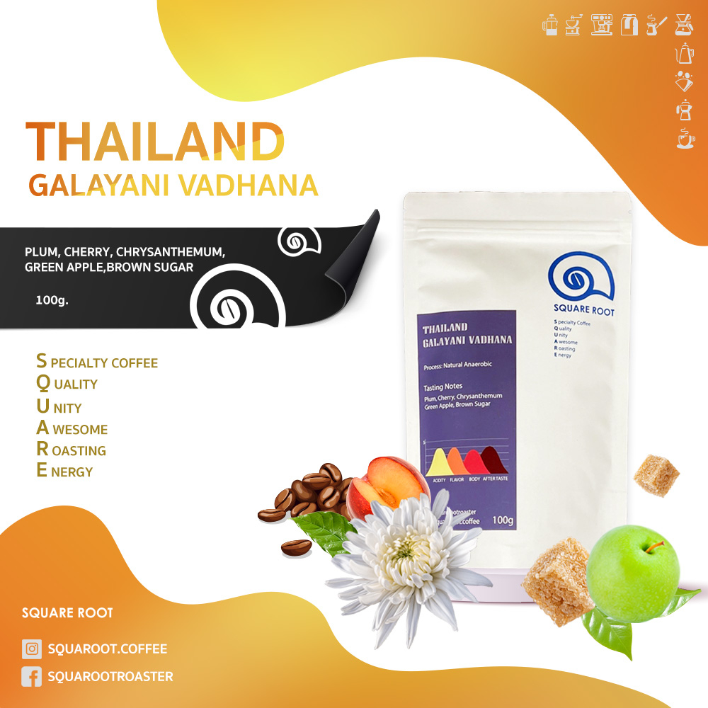 Galyani Vadhana( LTLH Natural Process)