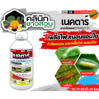 🥬 เนคตาร์ (มาลาไทออน) บรรจุ 1ลิตร กำจัดด้วงหมัดผัก เพลี้ยแป้ง เพลี้ยหอย บั่ว ไรมวนแดง