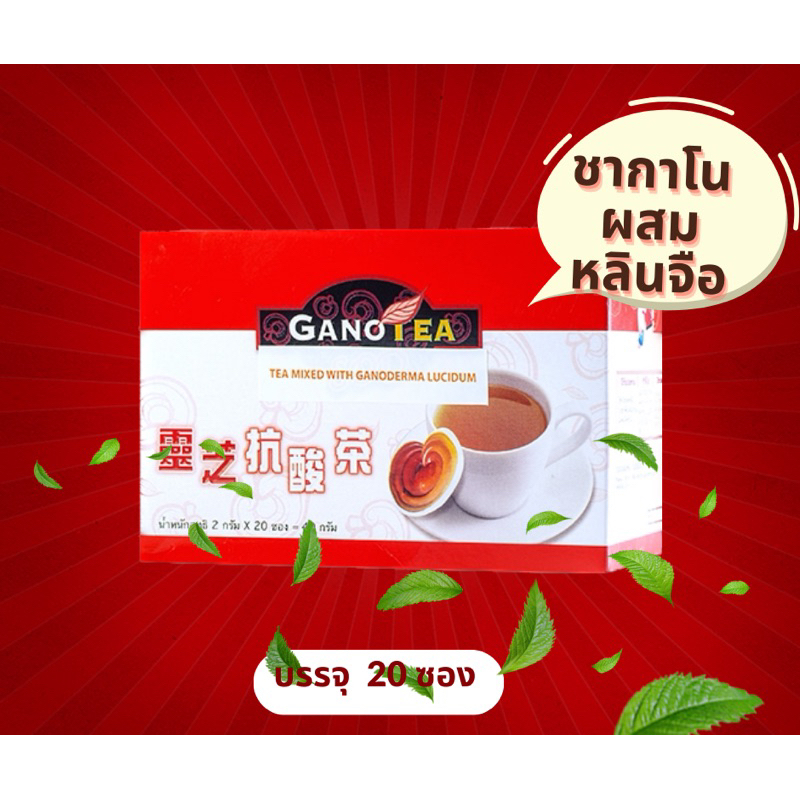 ชากาโน ชาเห็ดหลินจือกาโนเอ็กเซล