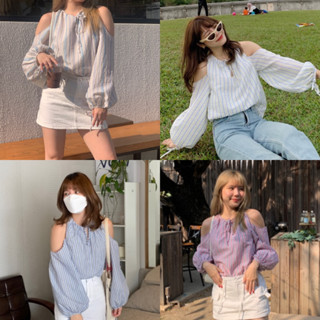 Apiary top ( 4colors )