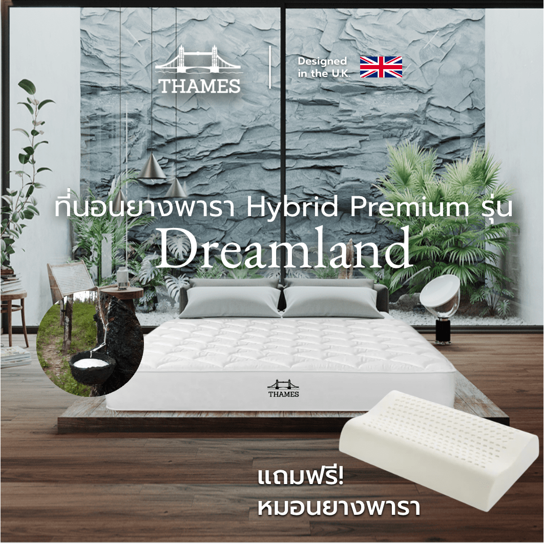 Thames ที่นอนยางพารา หนา 6 นิ้ว รุ่น Dreamland ไม่ยุบแน่นอน แก้ปวดหลัง แก้ปวดเมื่อย แถมหมอน