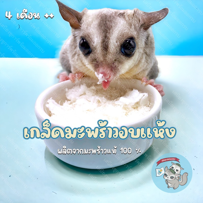 ( เกล็ดมะพร้าว ) COCONUT เกล็ดมะพร้าวอบแห้ง ขนม สัตว์เลี้ยง สัตว์เล็ก ชูการ์ กระรอก แฮมสเตอร์ ดอร์เมาส์ บุชเบบี้