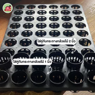 ถาดหลุมกลม 54 หลุม ขนาด 2 นิ้ว แพ็ค5ชิ้น