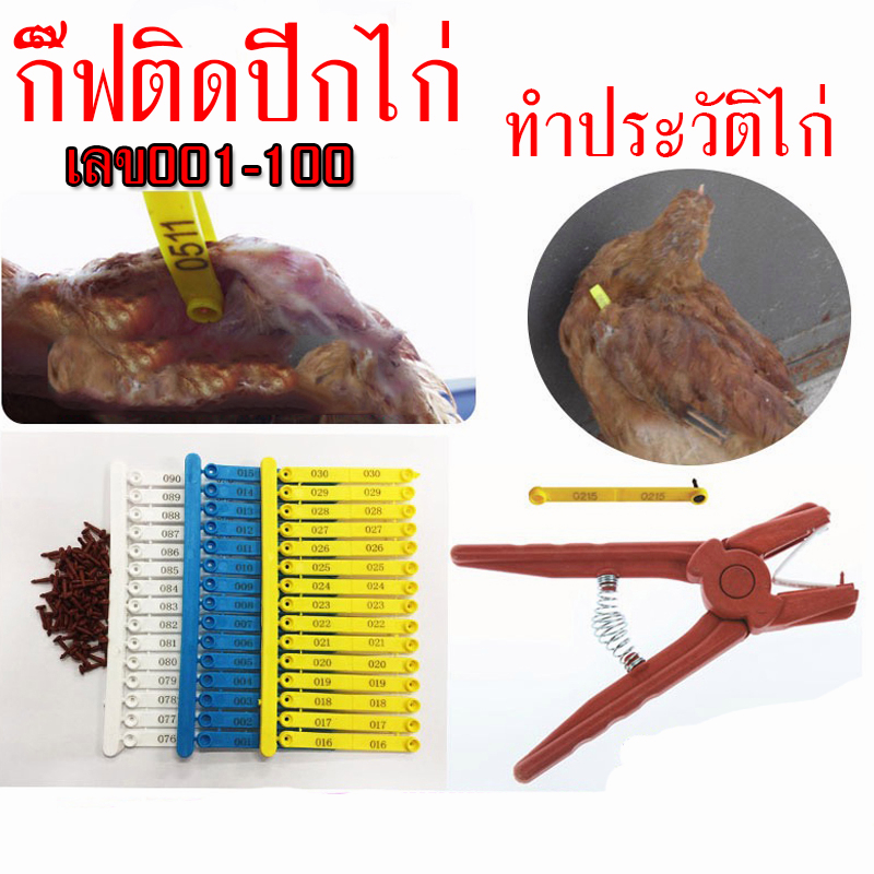 #กิ๊ฟติดปีกไก่ #พร้อมส่งจากไทย #ทำประวัติไก่ #ไก่ชน #ขายส่งราคาถูก