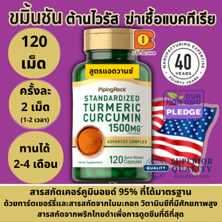 ขมิ้นชัน ต้านไวรัส ฆ่าเชื้อแบคทีเรีย Standardized Turmeric Curcumin Complex w/ Black Pepper, 500 -1500 mg