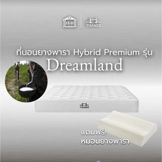 Home Best ที่นอนยางพารา ไม่ยุบแน่นอน หนา 6 นิ้ว รุ่น Dreamland แก้ปวดหลัง แก้ปวดเมื่อย แถมหมอนยางพาราแท้