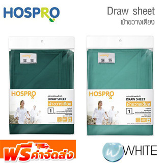 Hospro H-DS01 - Draw sheet ผ้าขวางเตียง (อุปกรณ์ช่วยพลิกตัว) สีเขียวเข้ม และสีเขียวอ่อน จัดส่งฟรี!!!