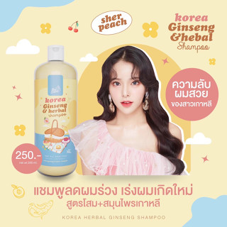 ของแท้ พร้อมส่ง❗️แชมพูโสมเกาหลี แชมพูสมุนไพร 🇰🇷 กระตุ้นผมหนา ผมขึ้นใหม่ ผมหนา ยาวไว ลดผมร่วง ลดรังแค ลดอาการคัน