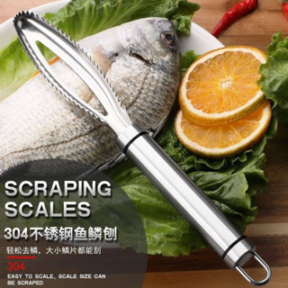 Fish scraper ที่ขูดเลาะเกล็ดปลาสแตนเลส