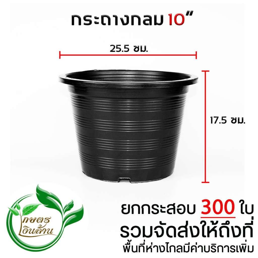 [ส่งฟรีไม่ต้องใช้โค๊ด]กระถางกลม 10 นิ้ว ยกกระสอบ 300 ใบ By.คิมเกษตรเงินล้าน