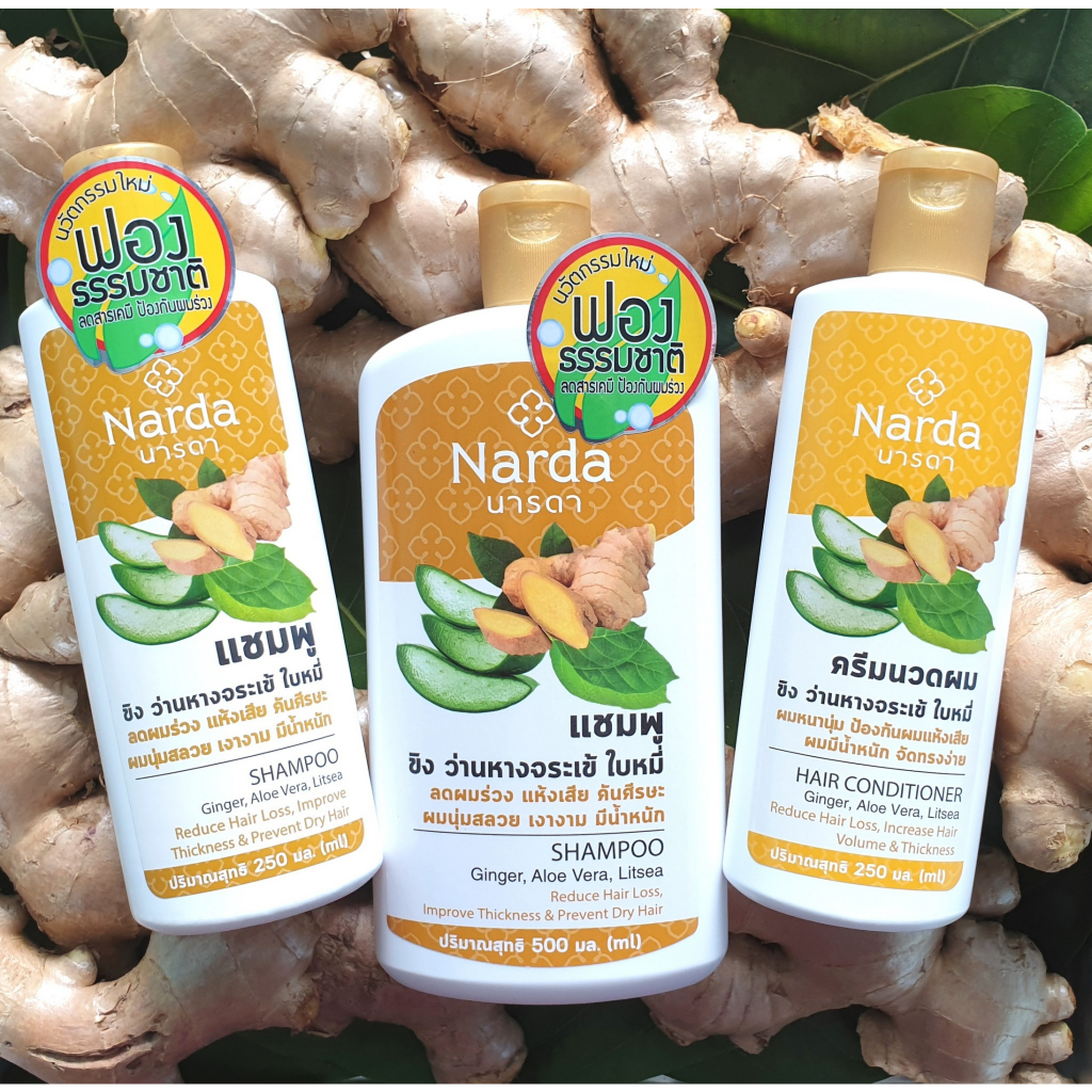 Narda นารดาแชมพู ขิง ว่านหางจระเข้ ใบหมี่ 500 ml.