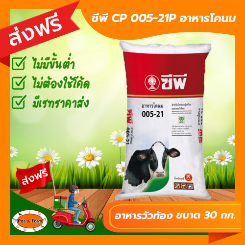 อาหารวัว ซีพี CP 005-21P อาหารโคนม ระยะอุ้มท้อง ระยะให้นม ขนาดบรรจุ 30 กก. [ส่งฟรีไม่ต้องใช้โค้ด!!]