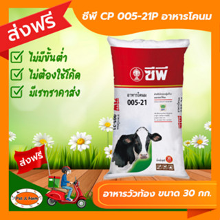 [ส่งฟรีไม่ต้องใช้โค้ด!!] ซีพี CP 005-21P อาหารวัว อาหารโคระยะอุ้มท้อง ระยะให้นม ขนาดบรรจุ 30 กก.